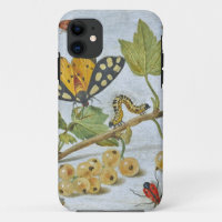Insekten-Kriechen