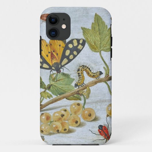 Insekten-Kriechen Case-Mate iPhone Hülle (Rückseite)