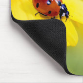 Insekten, Ladybug, Blume Mousepad (Ecke)