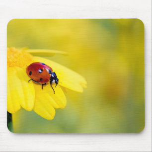 Insekten, Ladybug, Blume Mousepad