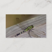 Insekten-Libelle Visitenkarte (Rückseite)