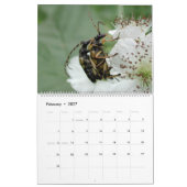 Insekten Macros 2024 Kalender (Feb 2027)