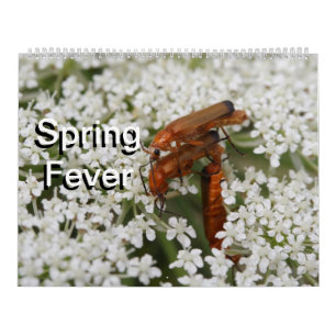 Insekten Macros 2024 Kalender