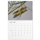 Insekten Macros 2024 Kalender (Mär 2027)