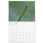 Insekten Macros 2024 Kalender (Jan 2027)