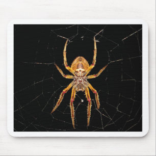 Insekten Makro Spinne Kolumbien Mousepad