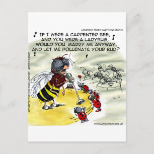 Insekten Nachtclub Sänger Lustig Postkarte