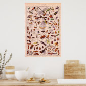 Insekten Poster (Küche)