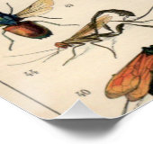 Insekten Poster (Ecke)