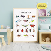 Insekten-Poster Poster