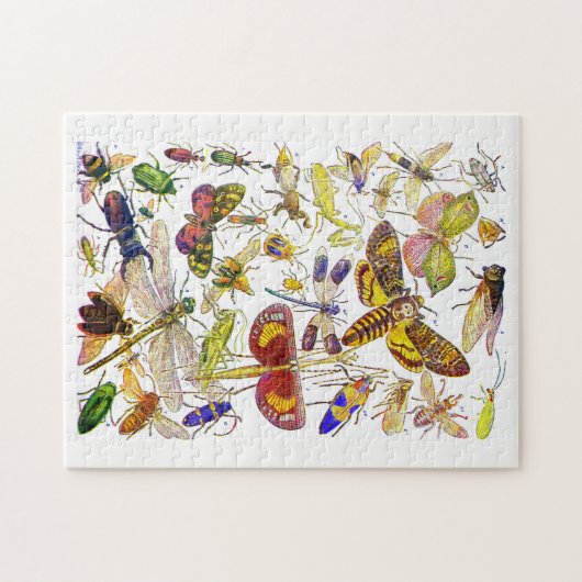 Insekten-Puzzle | gruseliges Crawlies Puzzle (Horizontal)