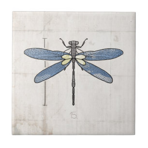 Insekten-Serie - Libelle von VOL25 Fliese