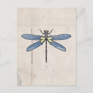 Insekten-Serie - Libelle von VOL25 Postkarte