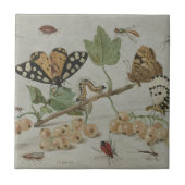 Insekten u. Früchte Fliese (Vorderseite)