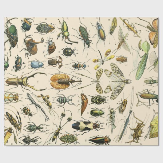 Insekten und Bug Geschenkpapier (Flach)