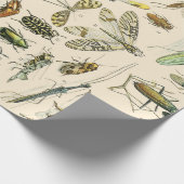 Insekten und Bug Geschenkpapier (Ecke)