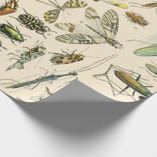 Insekten und Bug Geschenkpapier (Ecke)