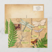 Insekten und der gemeinsame Polypodyfarn Postkarte (Vorne/Hinten)