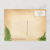 Insekten und der gemeinsame Polypodyfarn Postkarte (Rückseite)