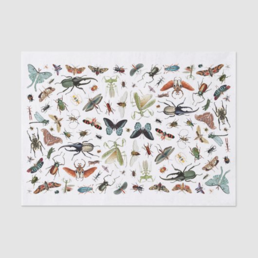 Insekten und Schmetterlinge Vintage BuchIllustrati Seidenpapier (Vorderseite)