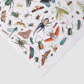 Insekten und Schmetterlinge Vintage BuchIllustrati Seidenpapier (Ausschnitt)
