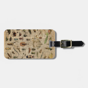 Insekten-Wanzen-Vintage Gepäckanhänger