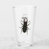 Insektendarstellung Glas (Vorderseite)