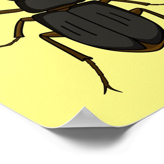 Insektendarstellung Poster (Ecke)