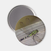 Insektendragonfly Magnet (Vorderseite/Rückseite)