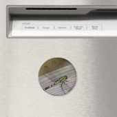 Insektendragonfly Magnet (In Situ (Geschirrspüler))