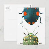 Insektenfarben Postkarte (Vorne/Hinten)