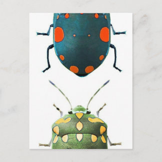 Insektenfarben Postkarte
