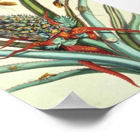 Insektengenerationsplatte 1 poster (Ecke)