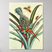 Insektengenerationsplatte 1 poster (Vorne)