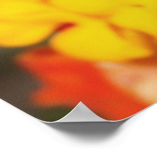 Insektenherbst Poster (Ecke)