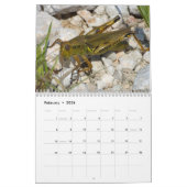Insektenkalender 2013 kalender (Feb 2026)