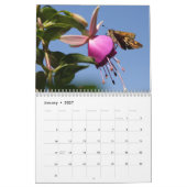 Insektenkalender 2013 kalender (Jan 2027)