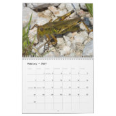 Insektenkalender 2013 kalender (Feb 2027)