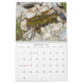 Insektenkalender Kalender (Feb 2027)