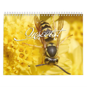 Insektenkalender Kalender
