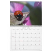 Insektenkalender Kalender (Mär 2026)