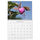 Insektenkalender Kalender (Jan 2026)