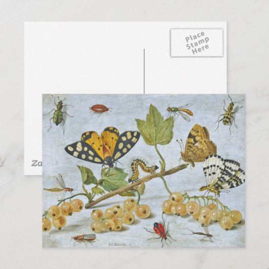 Insektenkrawling Postkarte (Vorne/Hinten)