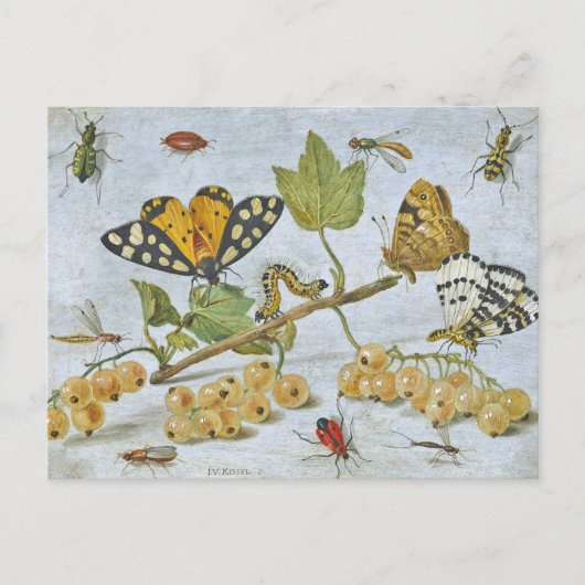 Insektenkrawling Postkarte (Vorderseite)