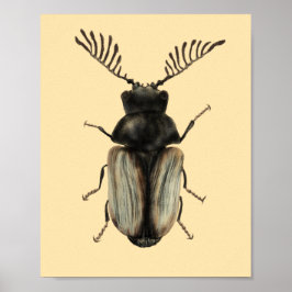 Insektenkunst Poster