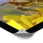 Insektenmosaik von Fotos Poster (Ecke)