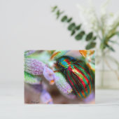 Insektennatur Postkarte (Stehend Vorderseite)