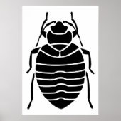 Insektenposter Poster (Vorne)