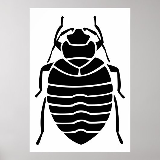 Insektenposter Poster (Vorne)