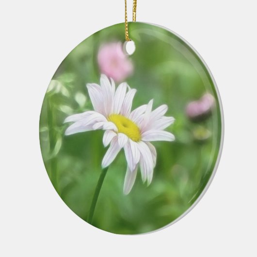 Insektenpulver-Gänseblümchen - Tanacetum coccineum Keramik Ornament (Links)
